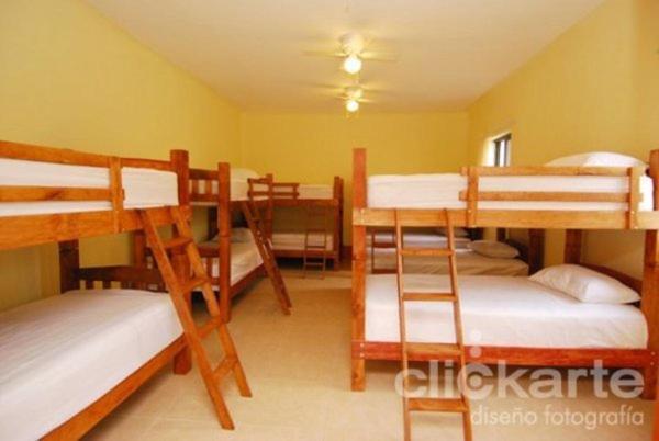 Single Bed in Female Dormitory Room,9875475:JPEG
